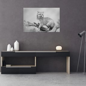 Tablou - Vulpe gri (90x60 cm)