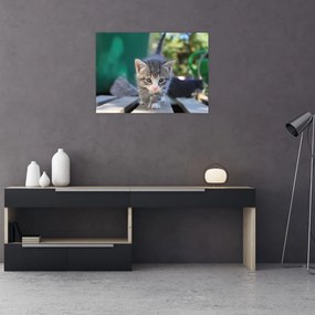 Tablou pe sticlă cu pisicuțe (70x50 cm)