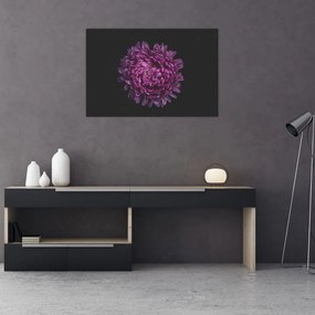 Tablou cu floare violetă (90x60 cm)