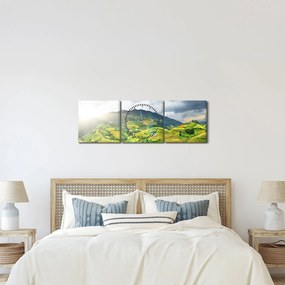 Tablou plantație (cu ceas) (90x30 cm)