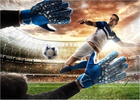 Tablou - Fotbalist (70x50 cm)