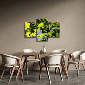 Tablou - frunze de arțar (90x60 cm)