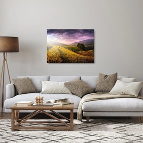 Tablou pe sticlă peisajului (70x50 cm)