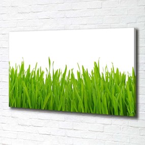 Tablou canvas Iarbă
