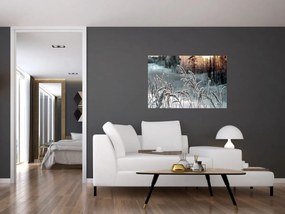 Tablou - Pajiște înghețată (90x60 cm)