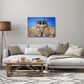 Tablou pe sticlă cu detalii a unui pâianjen (70x50 cm)