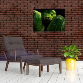 Tablou - Șarpele verde (70x50 cm)