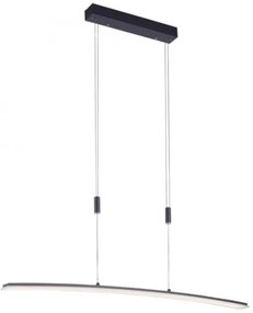 Lustră LED pe cablu dimabilă JANINA LED/27W/230V Paul Neuhaus 2530-13