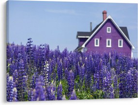 Tablou cu câmp de lavanda (70x50 cm)