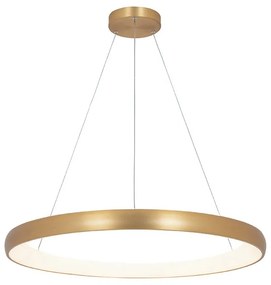 Lustra LED design modern circular Ring 80cm, Brushed Gold Matt