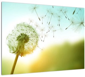 Tablou - Păpădia în vânt (70x50 cm)