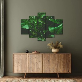 Tablou - Frunze de palmier (150x105 cm)