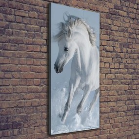 Tablou canvas Cal alb în galop