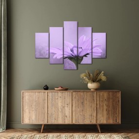 Tablou - Flori mov (150x105 cm)