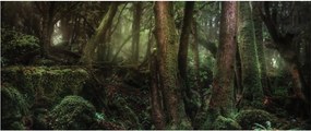 Tablou - Pădurea enigmatică (120x50 cm)