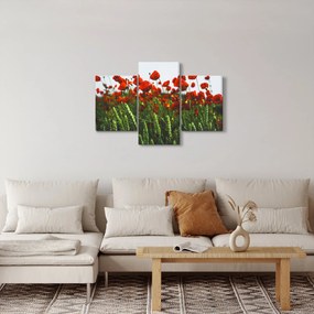 Tablou - Maci în vânt (90x60 cm)