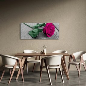 Tablou - Trandafir roz cu tulpina verde (120x50 cm)
