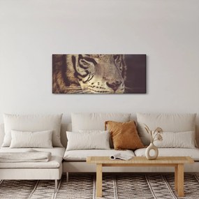 Tablou cu tigrul (120x50 cm)