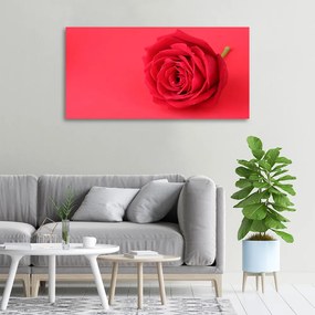Tablou pe pânză canvas Trandafir roșu