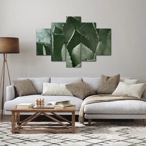 Tablou - Agave verde (150x105 cm)