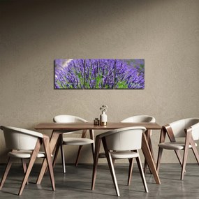 Tablou - lavanda (cu ceas) (90x30 cm)