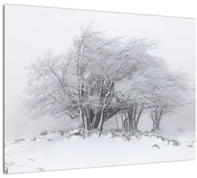 Tablou pe sticlă - Iarnă albă (70x50 cm)