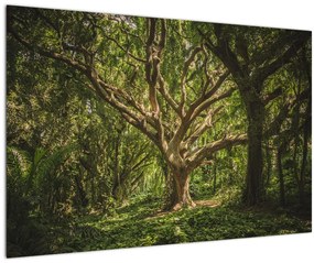 Tablou cu copaci (90x60 cm)