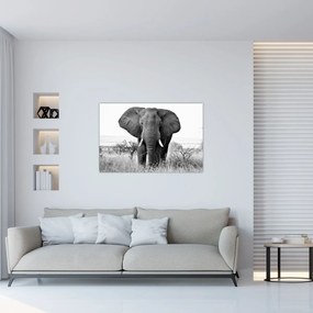 Tablou - Elefantul african II. (90x60 cm)