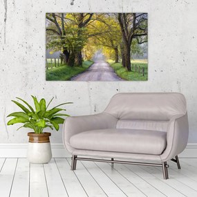 Tablou - Smoky Mountains, Gatlinburg, SUA (90x60 cm)