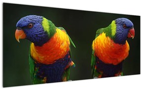 Tablou cu papagali (120x50 cm), în 40 de alte dimensiuni noi