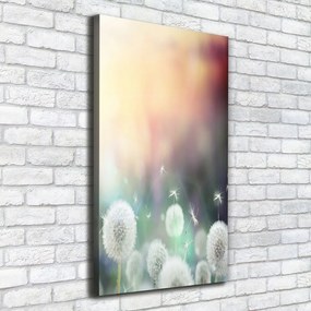 Print pe canvas Păpădia