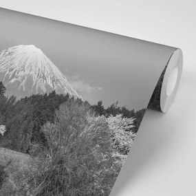 Fototapet muntele Fuji în alb-negru