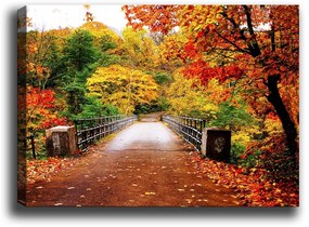 Tablou Tablo Center Autumn Bridge, 70 x 50 cm