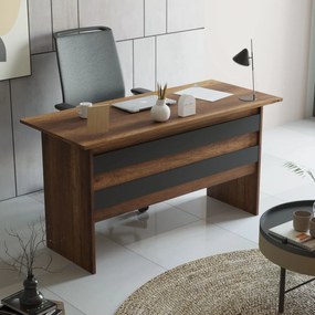 Set de mobilier pentru birou 1210