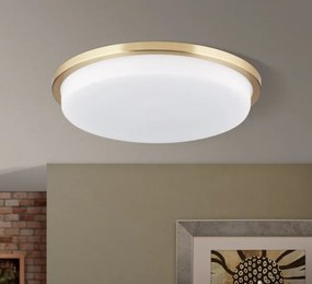 Plafoniera LED moderna LEROX 40cm alama mat
