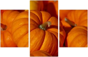 Tablou - Dovleci mari (90x60 cm)