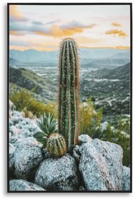 Mauro Ferretti Pictura Pe Panza, Cu Rama, Cactus -A- Cm 60X4X88 | Aosom Romania