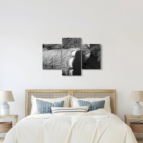 Tablou - Picior de elefant (90x60 cm)