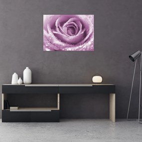 Tablou pe sticlă detaliu de floare de trandafir (70x50 cm)