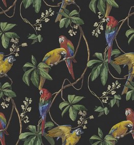 Fototapet, Parrots, Midnight, Rebel Walls