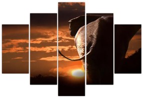 Tablou cu elefant (150x105 cm)