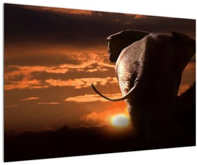 Tablou cu elefant (90x60 cm)