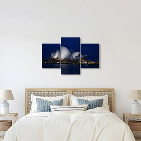 Tabloul Sydney nocturn (90x60 cm)