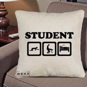Perna Decorativa Student Life, 40x40 cm, Bej Canapea, Husa Detasabila, Perna Inclusa, BEKZ®