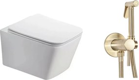 Pachet vas wc suspendat Fluminia Paris, capac softclose si set dus igiena intima auriu cu baterie incastrata Rea Loop