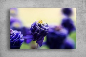 Tablouri Canvas Flori - Floare albastra