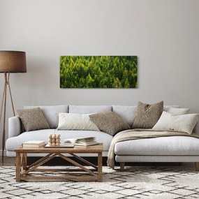 Tablou - Pădure deasă (120x50 cm)