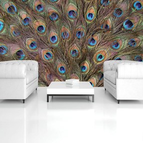 Fototapet - Păun (152,5x104 cm)