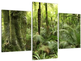 Tablou - Pădure tropicală (90x60 cm)