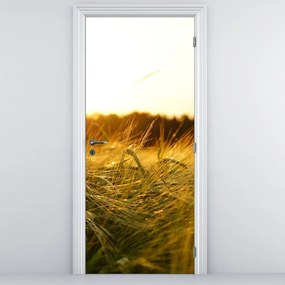 Fototapet pentru ușă - Iarba cu rouă (95x205cm)